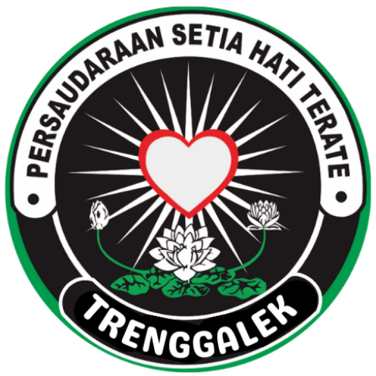 cropped-logo-psht-bulat.png