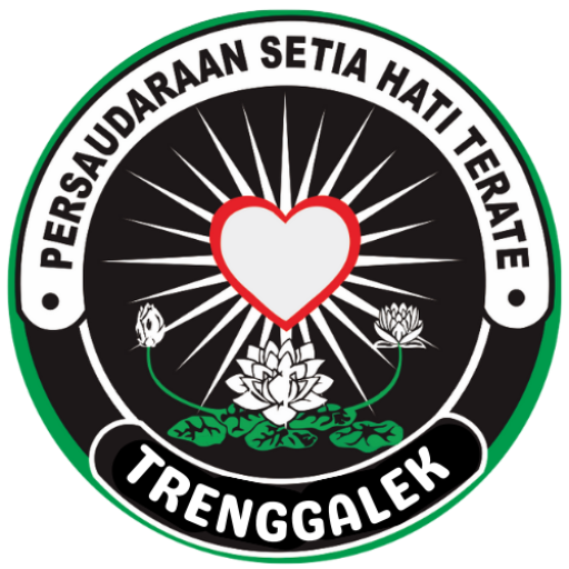cropped-logo-psht-bulat.png